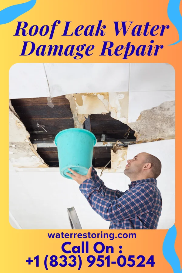 Roof Leak Water Damage Repair in Nashville, NC