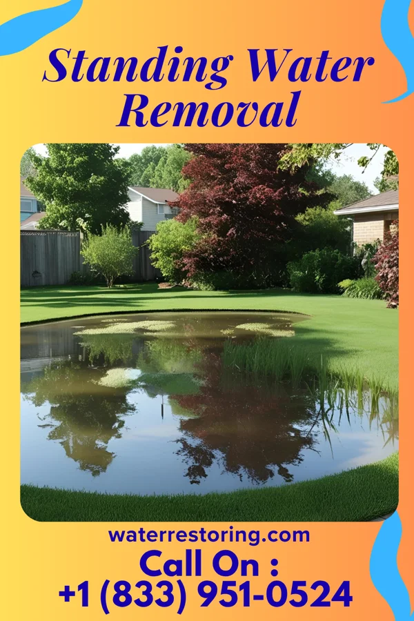 Standing Water Removal in Nashville, NC